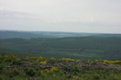 P1010184