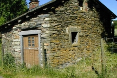 backhaus