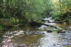 dorfansichten_10