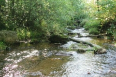 rechterweiher2