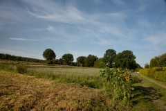 Recht-juli-2020-Bahnallee-5